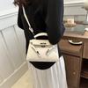 Simple Small Square Bag Popular Niche Handbag Small Bag for Women's Spring New Retro Fashion Crossbody Bag