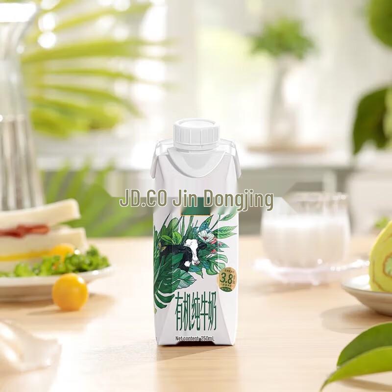 Yili Jindian Pure Milk Dream Cap Edition
