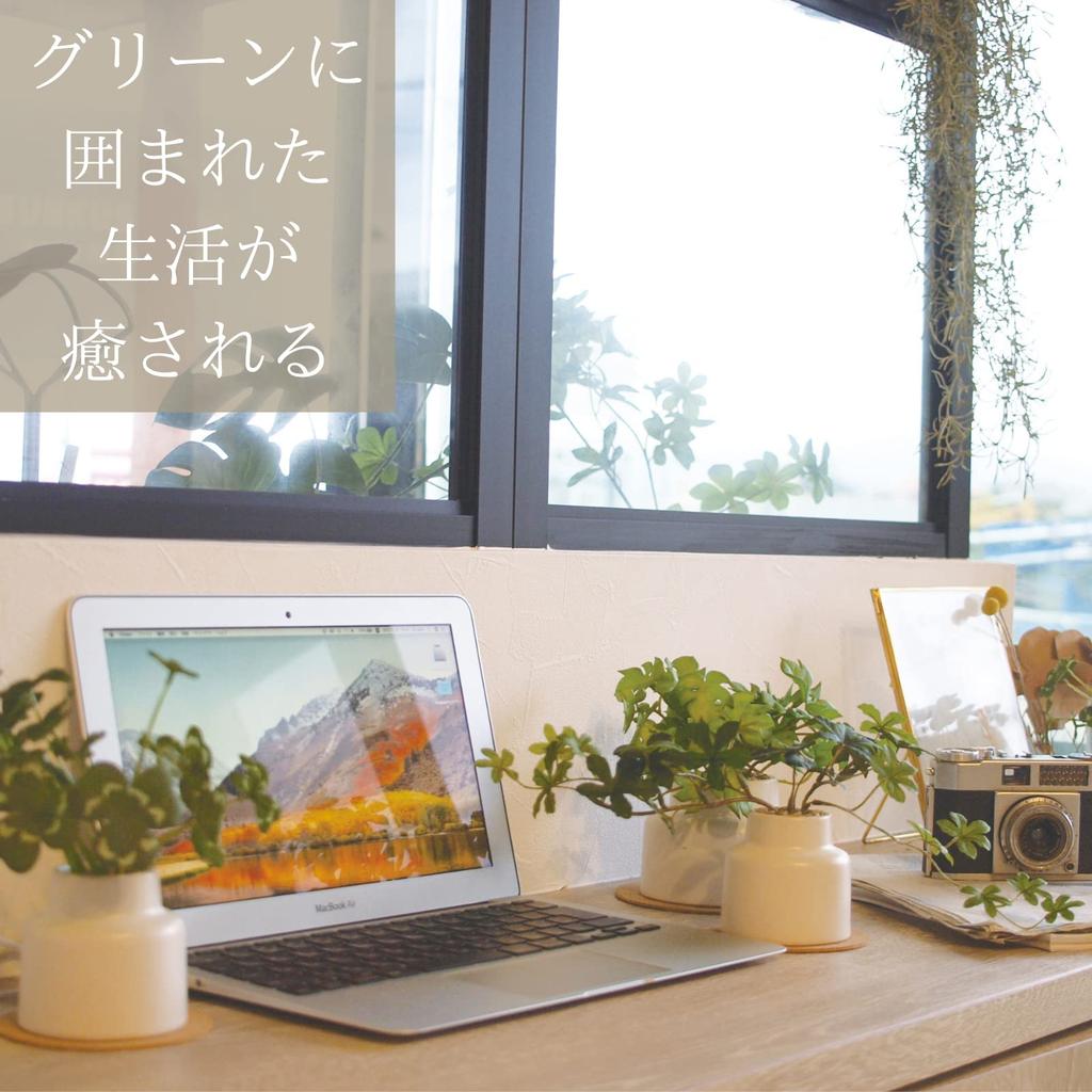 Kishima Artificial Fake Artificial Flower Air Sugar M Size Plant, Green, Non-Wilting Green, Catalyst, Deodorizing, Antibacterial, Purifying, Pine,