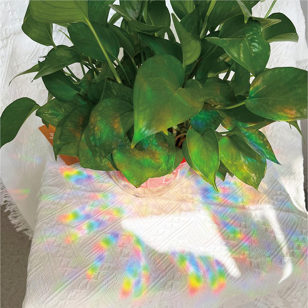 Glass Sticker Rainbow Anti Collision DIY Window Decal Removable Reusable Sun Catcher Cloud Attachable Mirror Cling Bedroom