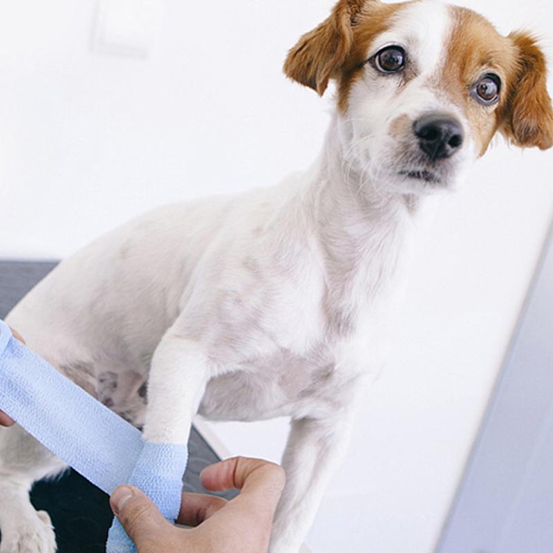 Claw Pattern Printed Self Adhesive Elastic Bandage 4.5m Non-Woven Finger Knee Sports Wrap Tape Dogs Cat Leg Paw First Aid Kit