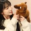 53cm South American Raccoon Doll Simulated Long Tailed Raccoon Plush Toy Birthday and Christmas Gifts ideal for Children