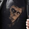 Üst giysisi – T-shirtler