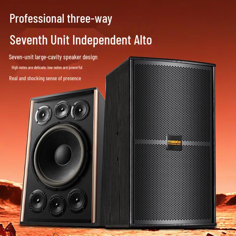 Malata QY-10 Home KTV Audio System with Karaoke Machine (CN version)