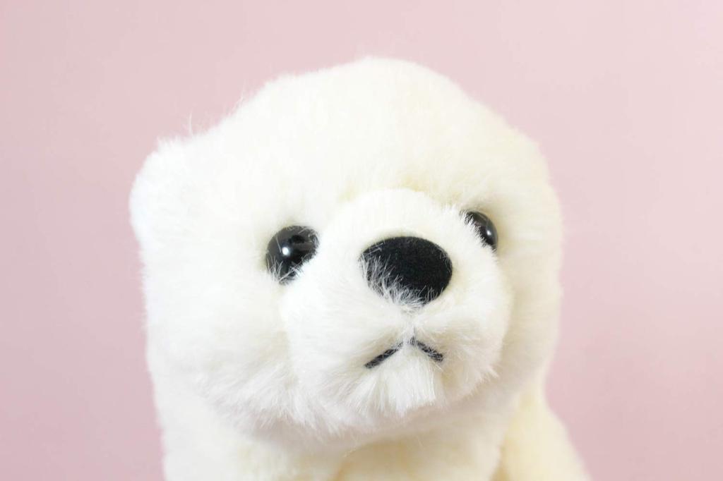 Step snow S polar bear