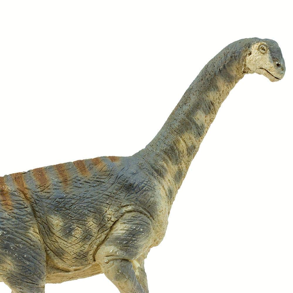 Safari Camarasaurus Dinosaur Figure 100309