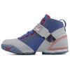 LeBron 5 All Star Game 317253-003