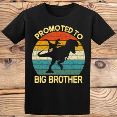 Promoted To Big Brother Dinosaur Boys Girls Funny Tee Top Kids T-Shirt