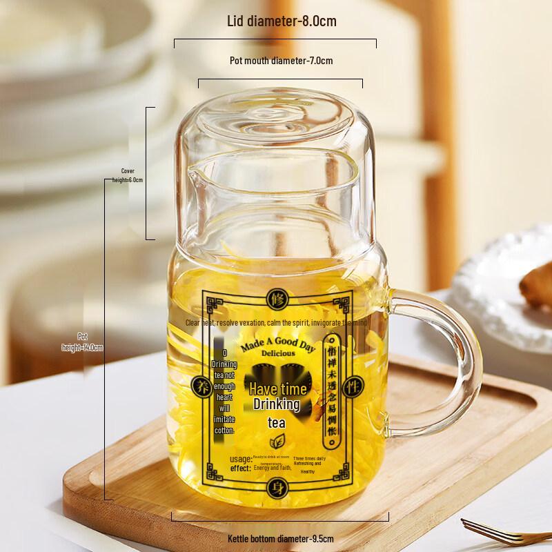 ZISIZ Large Capacity Glass Cup with Lid