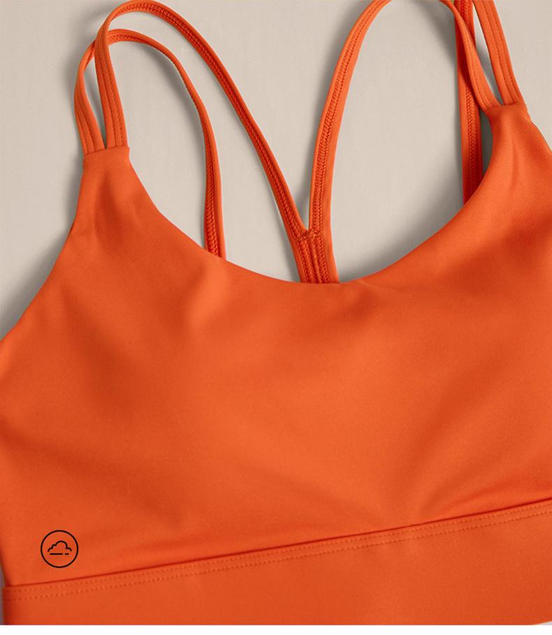 High-Impact Sports Bra with Shockproof Design and Supportive Back Padding