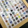 Natural Crystal & Mineral Specimen Box - Raw Stones for Children's Exploration & Learning (36-80 Varieties)