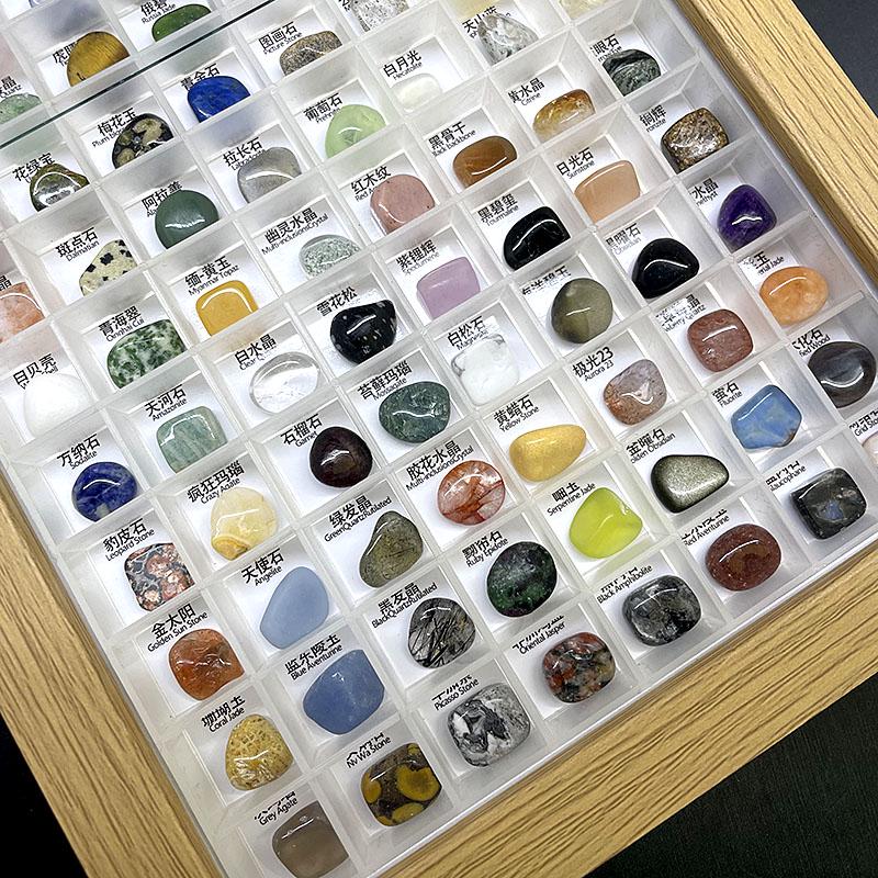 Natural Crystal & Mineral Specimen Box - Raw Stones for Children's Exploration & Learning (36-80 Varieties)
