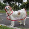 XS-8XL Pet Supplies Dog Raincoat Waterproof  Transparent Plastic Fashion Poncho Personalized Color Edge Costumes for Large Dogs