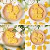 Silicone Animal Cookie Cutter for Handmade Biscuits Cookie Stamp Set for Baking Enthusiasts Elegant Cake Decorations