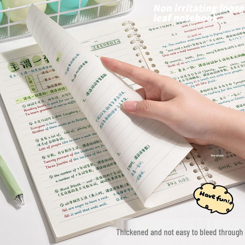 Yüksek Değerli Kot Öğrenci Gevşek Yapraklı B5 Çıkarılabilir Halkalı Defter - Ekstra Kalın