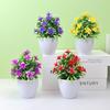 Simulated Desktop Green Plants, Mini Potted Plants, Simulated Decorations, Simulated Flowers