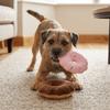 Plush Surface Plush Donut Toy Bite Resist Texture Puppy Play Toy Squeaky Pet Toy  Indoor Puppy Play