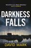 Kniha Darkness Falls