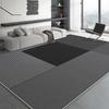 Fashion Minimalist Flannel Area Rug Plush Non-Slip Living Room Carpet Black and Grey Color Floor Mat for Cozy Bedroom Home Decor