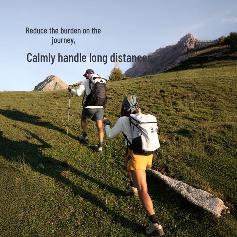 Naturehike Chuxue EXT1 Carbon Fiber Trekking Pole