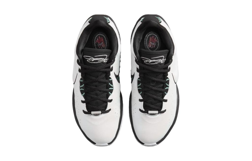 Nike LeBron 21 Conchiolin GS FZ7189-100