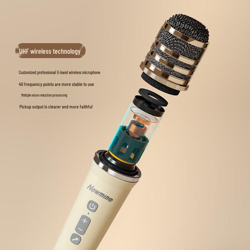 Newmine K513 Portable Bluetooth Karaoke Speaker with Dual Mics