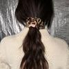 August Harmony Leopard Scrunchies
