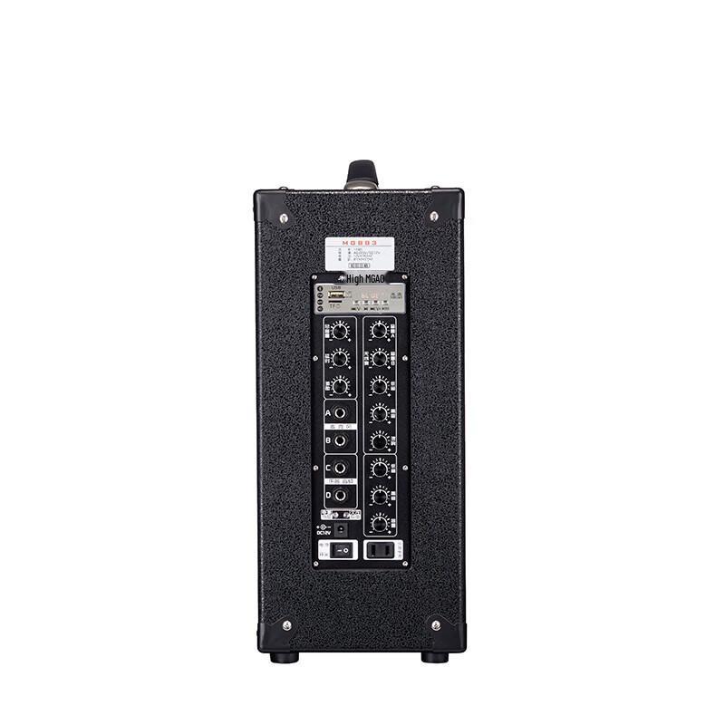 Portable PA Speaker with Wireless Microphone