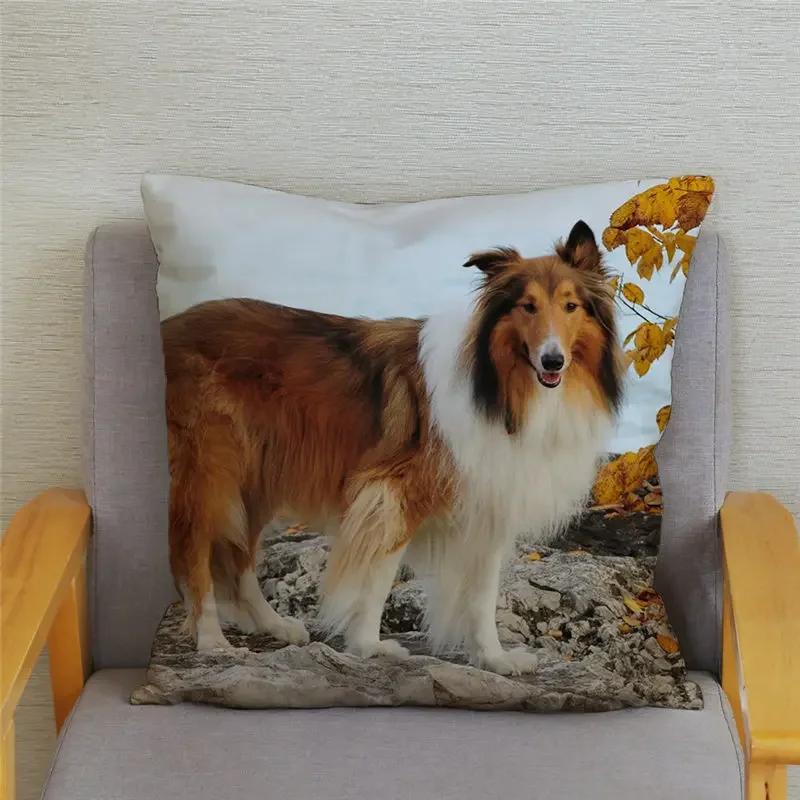 Бордер-колли Собака Милый Питомец Наволочка Чехол для Подушки Автомобиль Диван Домашний Декор, 30x30cm