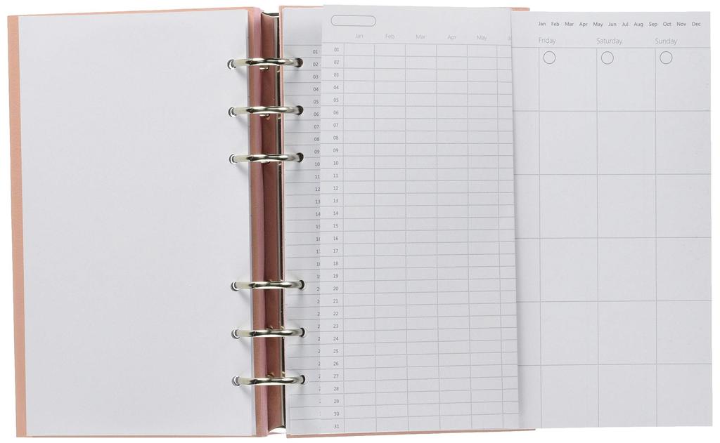 Filofax Clipbook System Planner Bible Size Peach 145013 (Genuine Imported Product)