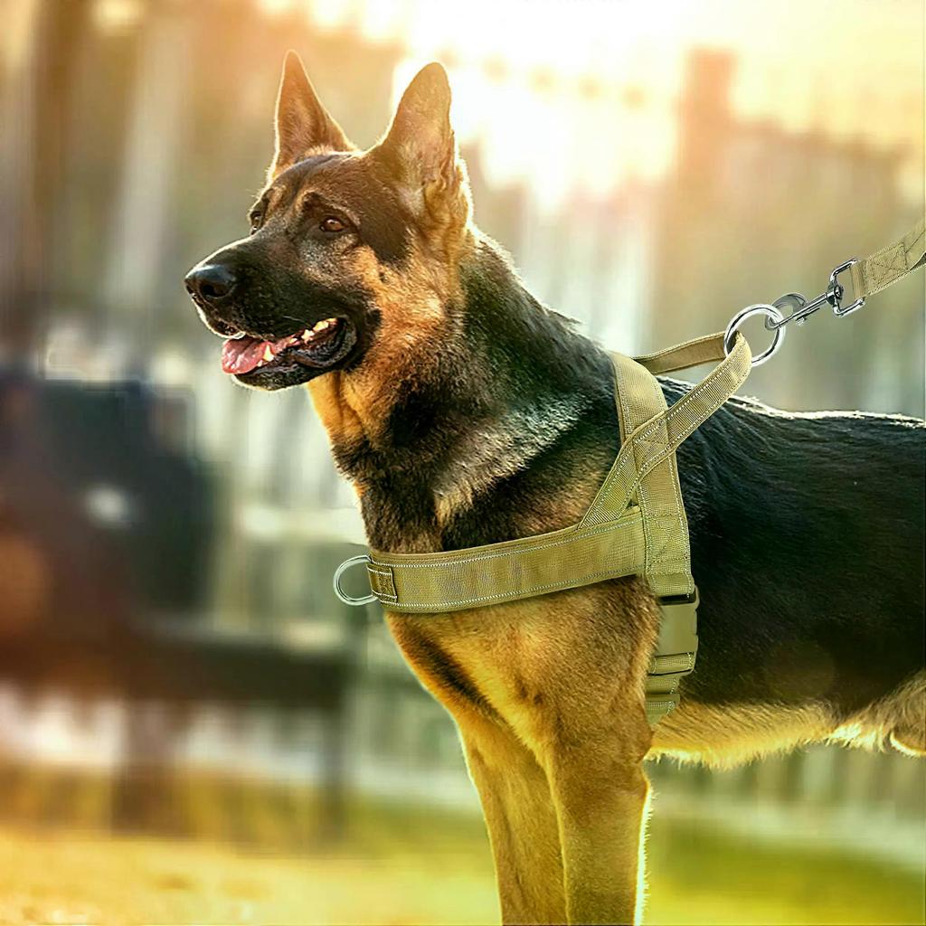 Nylon Durable Dog Harness No Pull Pet Harness with Handle Reflective Training Harness for Small Medium Large Dog German ShepherdPet Leashes