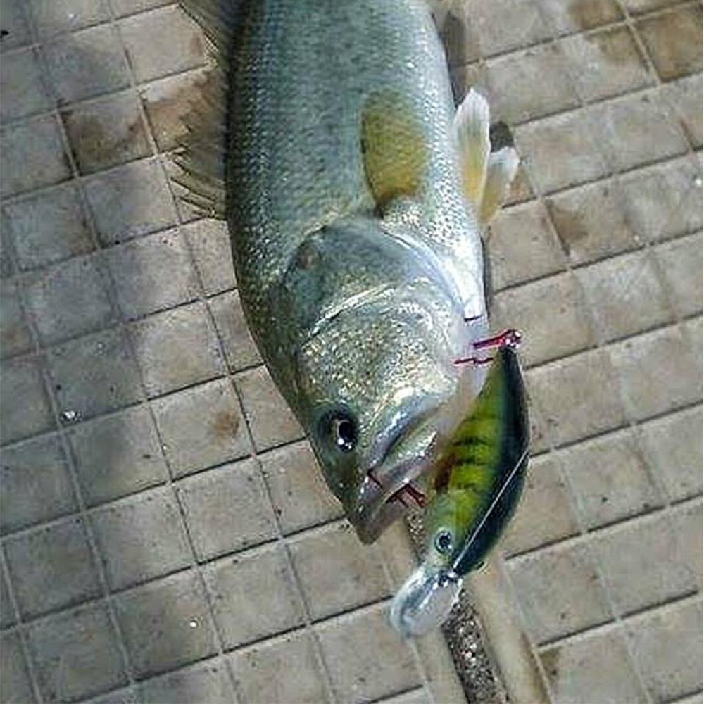 7cm 16g Floating Crankbaits Fishing Lures Pike Wobblers Artificial Bait Rattling Minnow Fishing Tackle Lure Bass Pesca