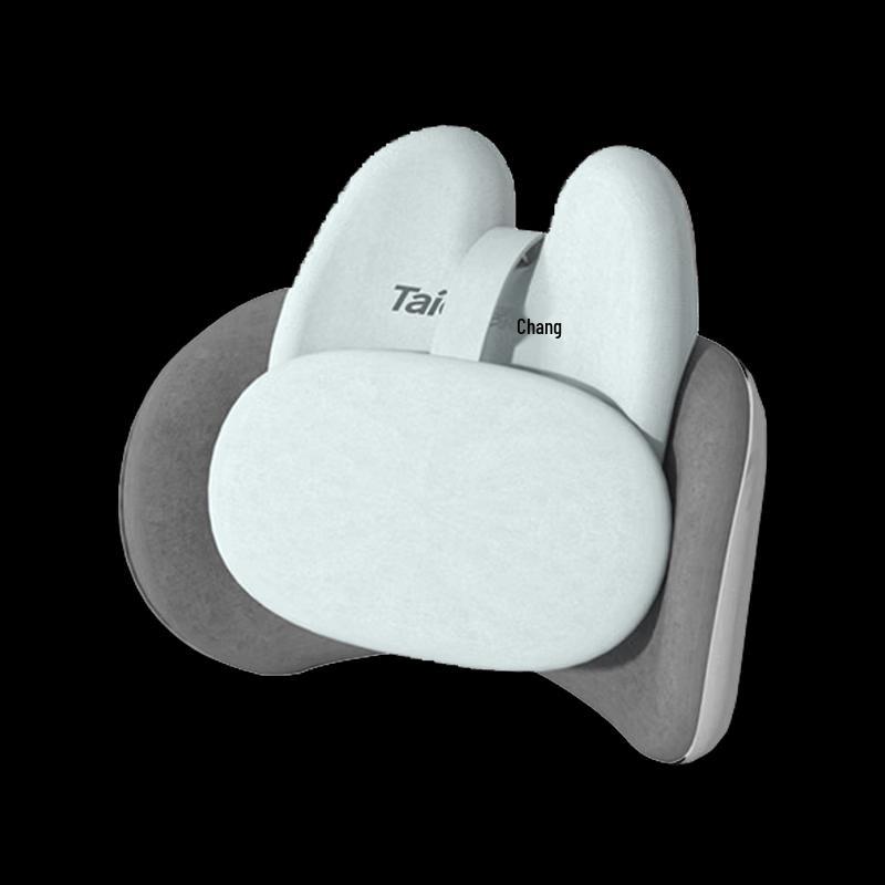 Taichang TC-Y2 Kneading Red Light Heat Waist Massager CN plug (adapter included)