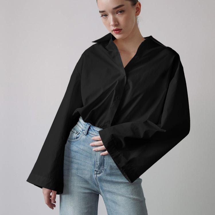 French simple commuter temperament shirt women's autumn new fashion lapel long-sleeved single-breasted loose casual top