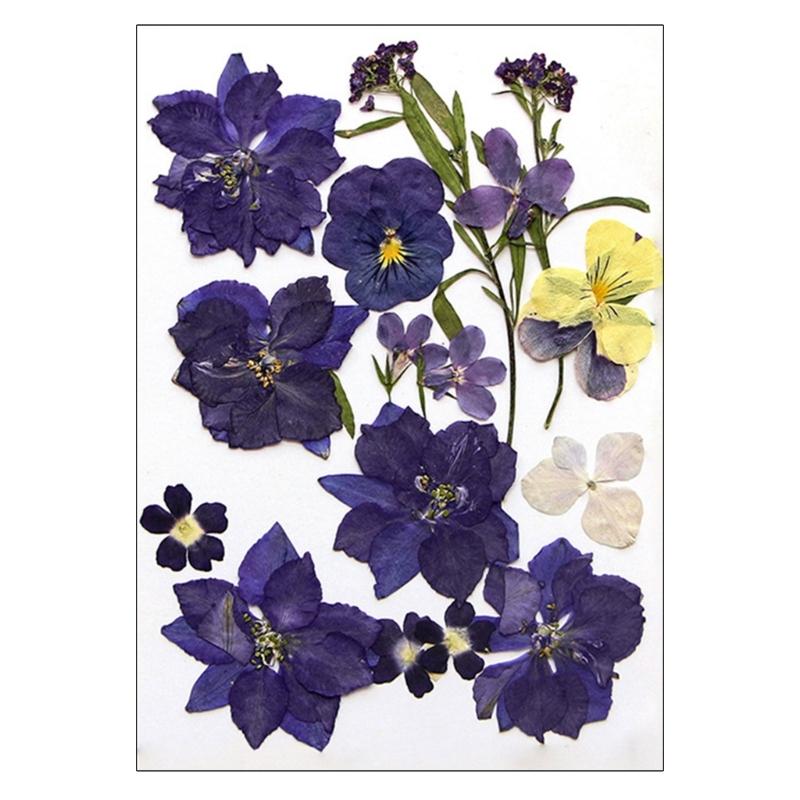 Dried Pressed Flower for Resin Molds Natural Dry Flower Leaves for Art Craft Supplies Scrapbooking Jewelry Making 6XDE