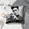 T-TOP C-Choi S-Seung Hyun Anime  Square Pillow Case Multi Sizes For Car Home Bedroom Decor Custom Valentine Gifts