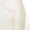 Wacoal Subtle Lace Mesh Panties Dpt0466s