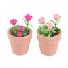 1Pcs Miniatura Miniatura Casa de Bonecas Rosa Planta em Vaso