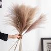 High-End Wabi-Sabi Dried Flower Decor: Natural Reeds & Wheat for Living Room or Homestay.