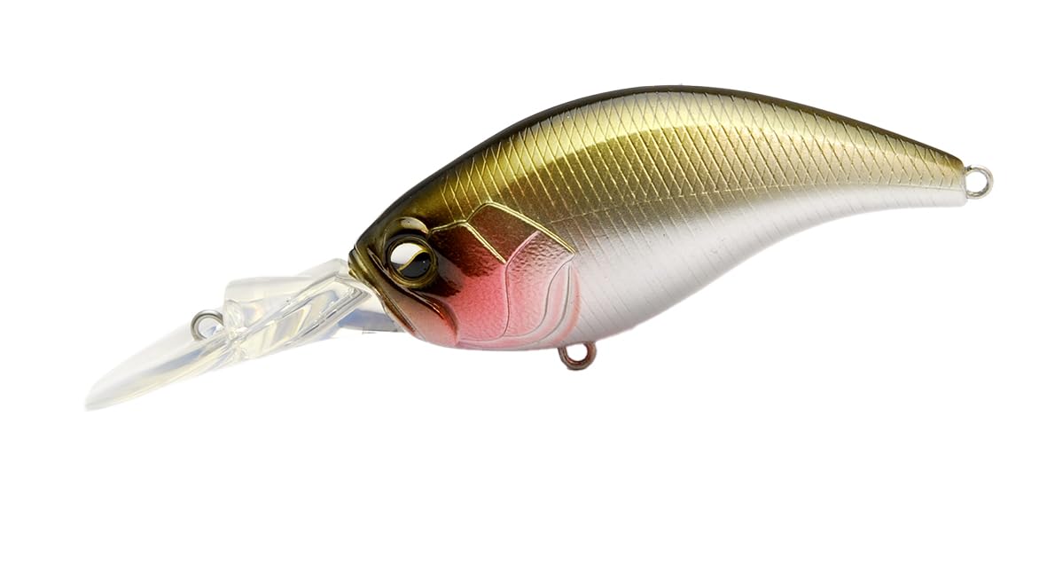 

Raid Japan LEVEL CRANK MID Japan 021.Bait (LCM021-BAIT JAPAN)