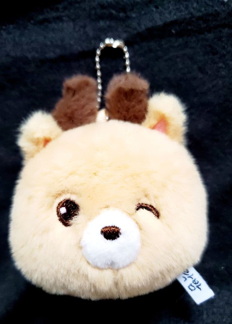 

[USED] RIIZE plush key ring - no noticeable scratches or stains.