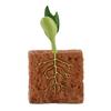 4Pcs Plants Grown Toy Simulation Educational PVC Plant Growth Cycle Model for Home
