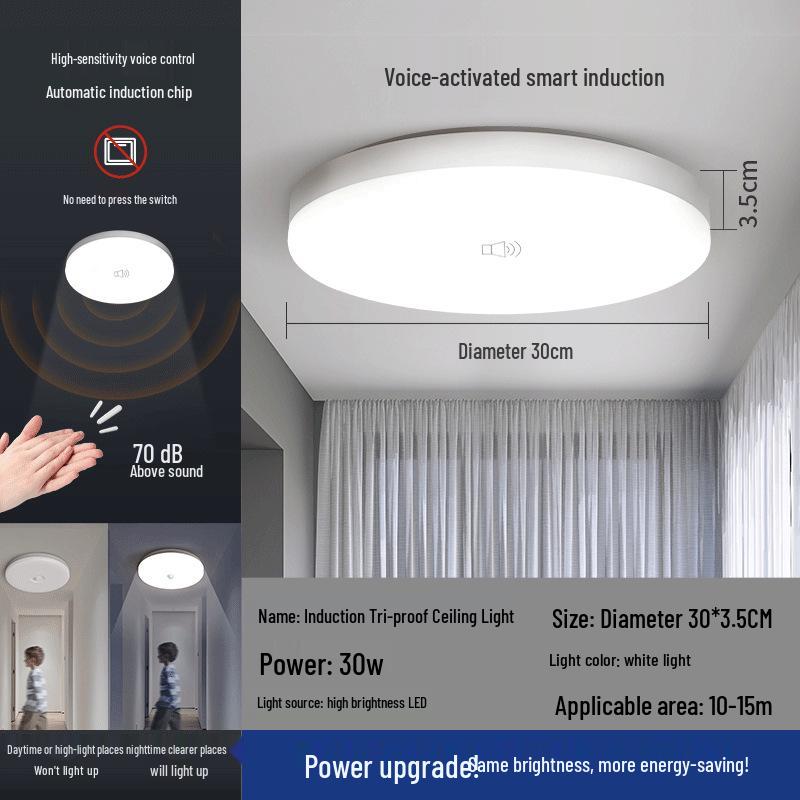 Smart Infrared Radar Sensor Ceiling Light for Stairways, Hallways, and Corridors with Voice Control