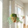 Groene Plant Kralen Kit met Keramische Pot DIY Kralen Potplanten Zonenvanger