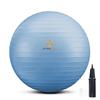 [] Primasole Fitness Ball 55cm Pale Gray with Air Pump Balance Ball Fitness Pilates PSS91NH014