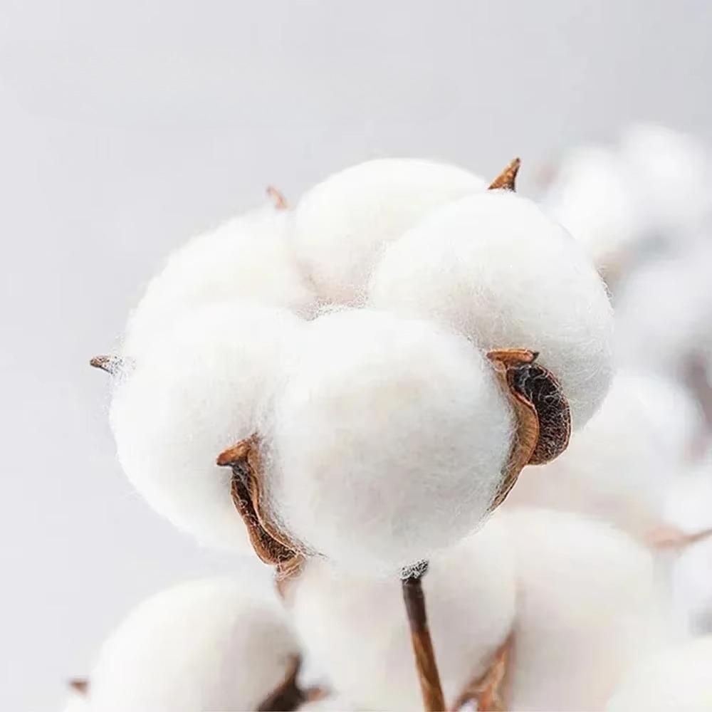 I Squirt On Juicy Wieners Graphic T Shirt Funny Meme T Shirts Women Adult Humor Casual Pure Cotton  T-shirts Popular