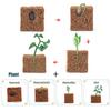 Toys Model Educational Simulated Animal Card Set Insect Plant Growth Cycle Cognitive Montessori Parish Home Open Learning Kids