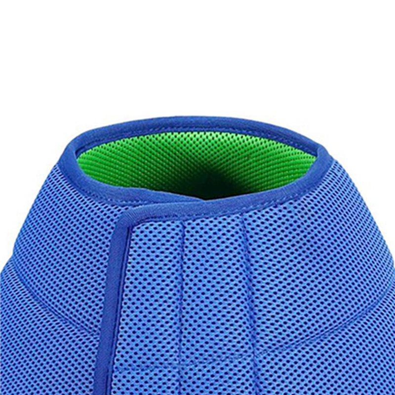 2X Dog Cone Collar Protective Wound L