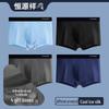 Hengyuanxiang Men's Ice Silk Antibacterial Boxer Briefs