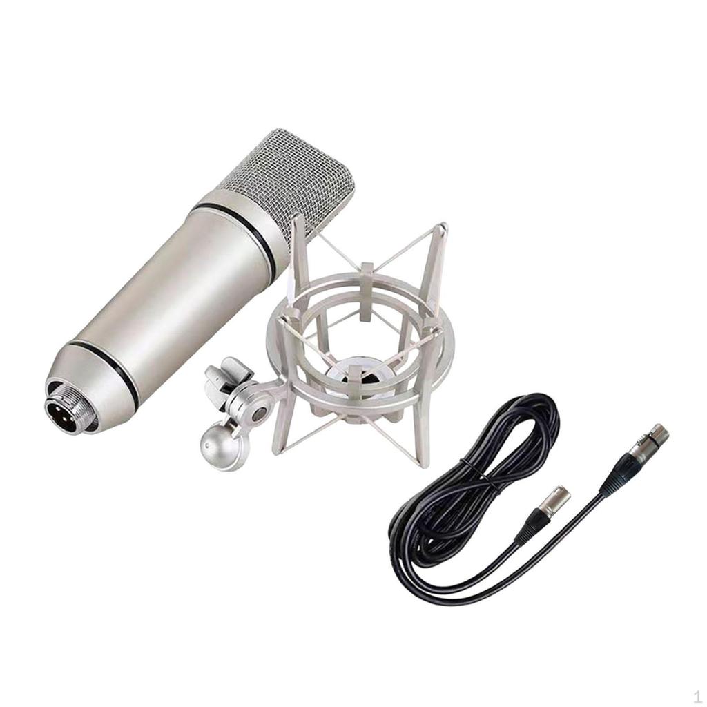 Condenser Mic for Vocals and Podcasting